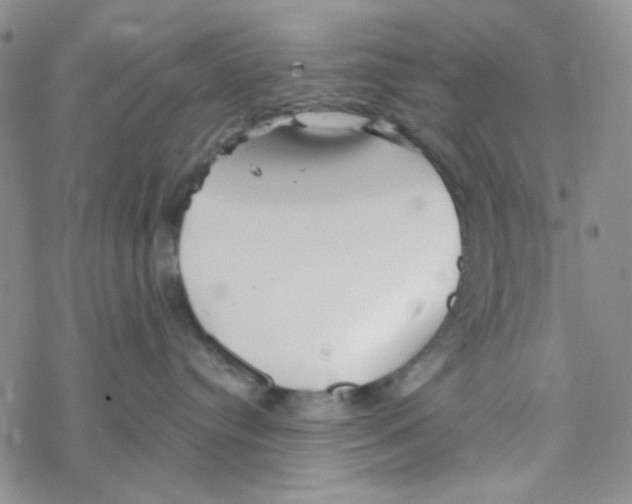 X0000069360384200606091607