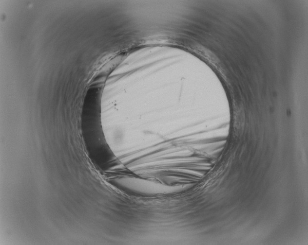 X0000069360385200606091606