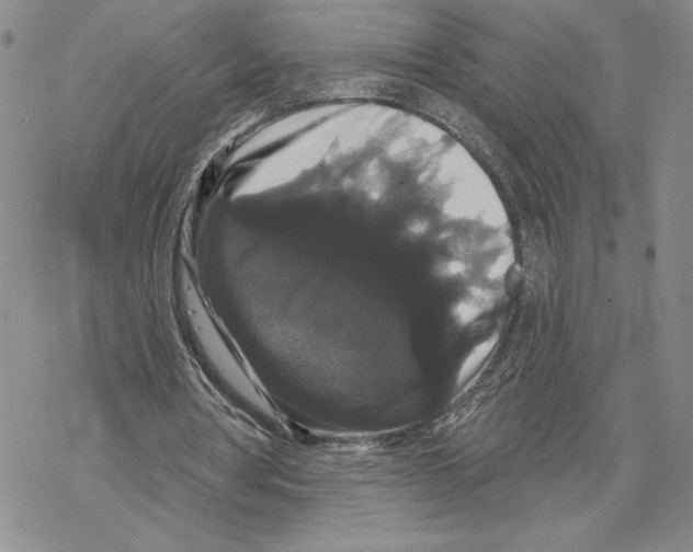 X0000069360386200606091606