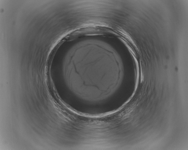 X0000069360387200606091606