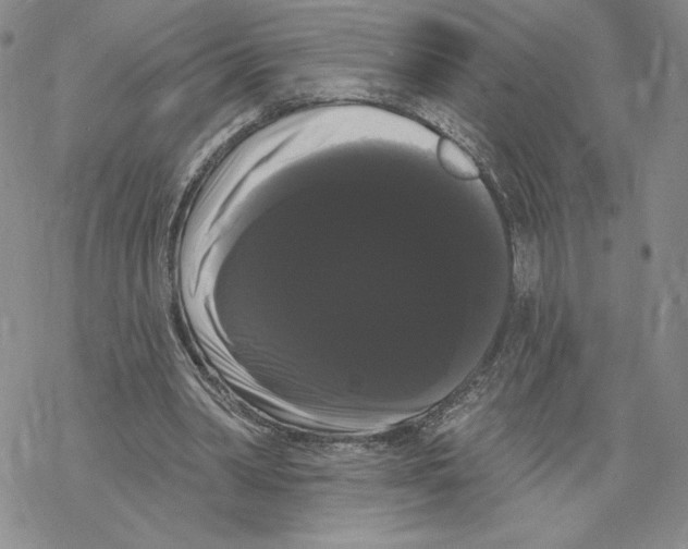 X0000069360390200606091606