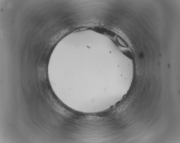 X0000069360393200606091606