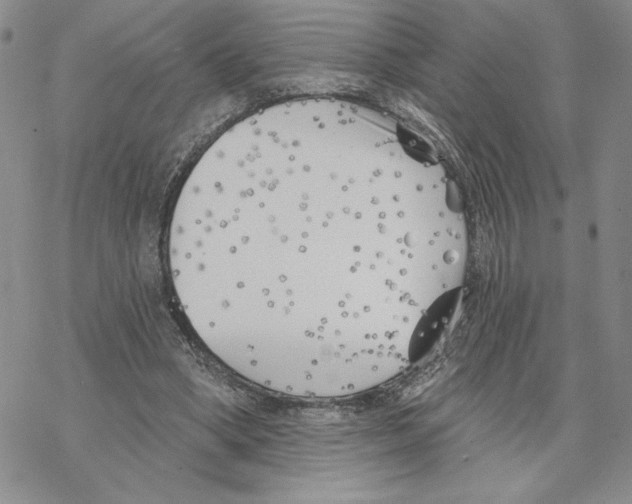 X0000069360394200606091606