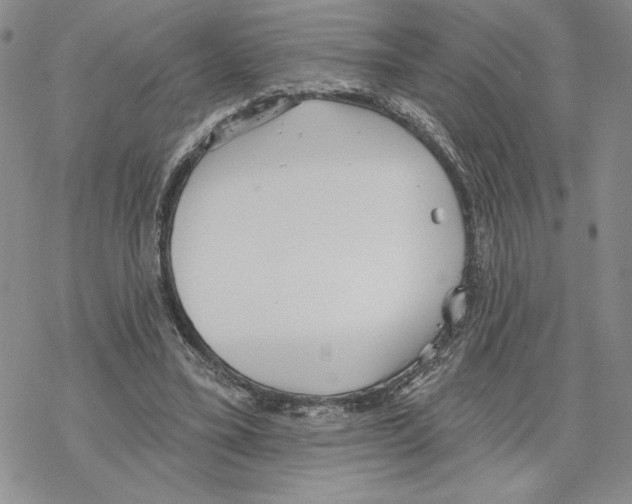 X0000069360395200606091606