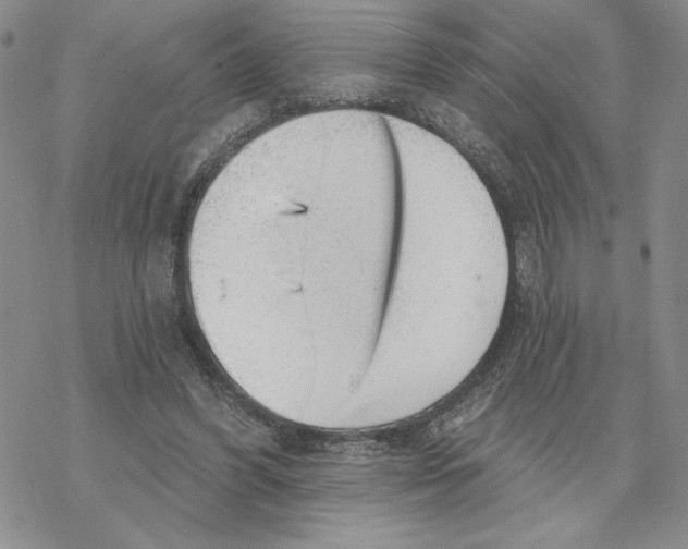 X0000069360396200606091606