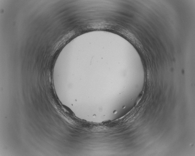 X0000069360397200606091606