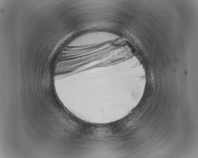 X0000069360400200606091606