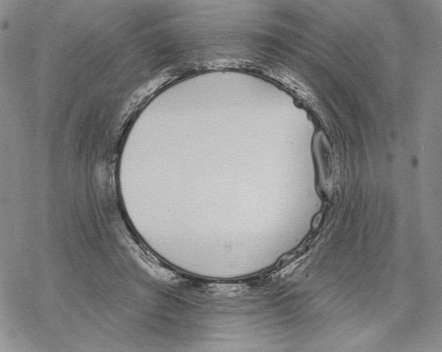 X0000069360401200606091606