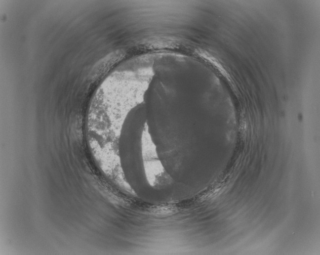 X0000069360402200606091606