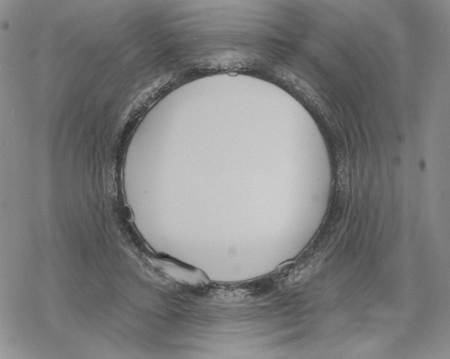 X0000069360403200606091606