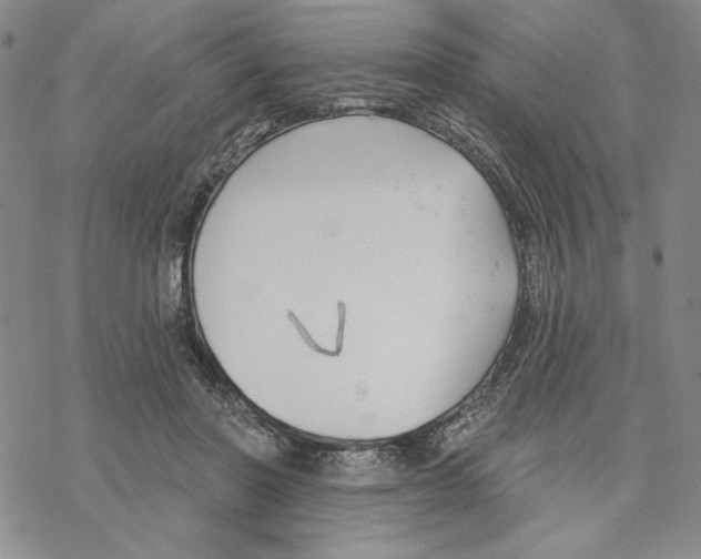 X0000069360406200606091606