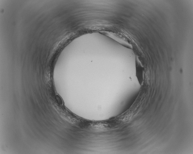 X0000069360407200606091606