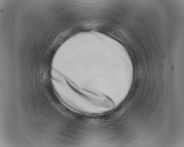 X0000069360408200606091606