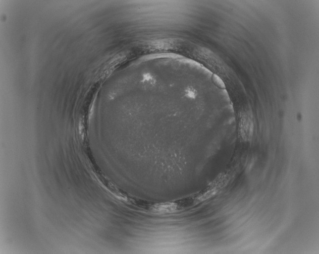 X0000069360410200606091606