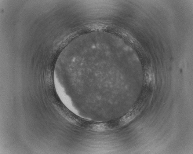 X0000069360411200606091606