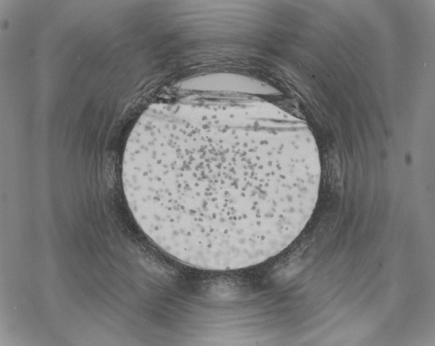 X0000069360412200606091606