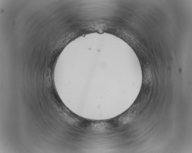 X0000069360414200606091606