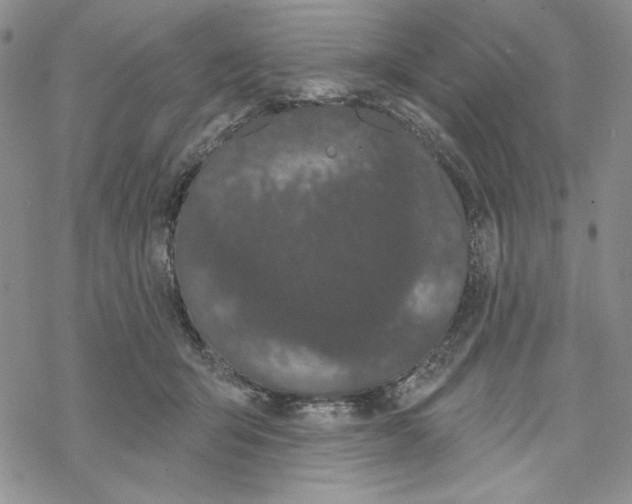 X0000069360415200606091606