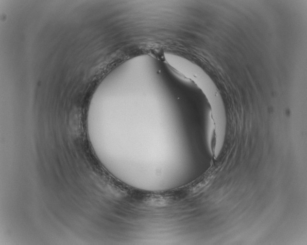 X0000069360416200606091606