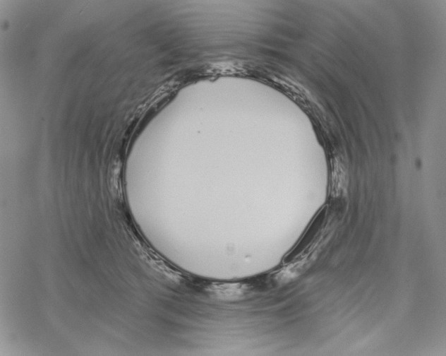 X0000069360417200606091606