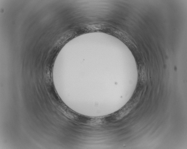 X0000069360418200606091606