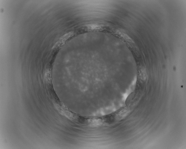 X0000069360419200606091606