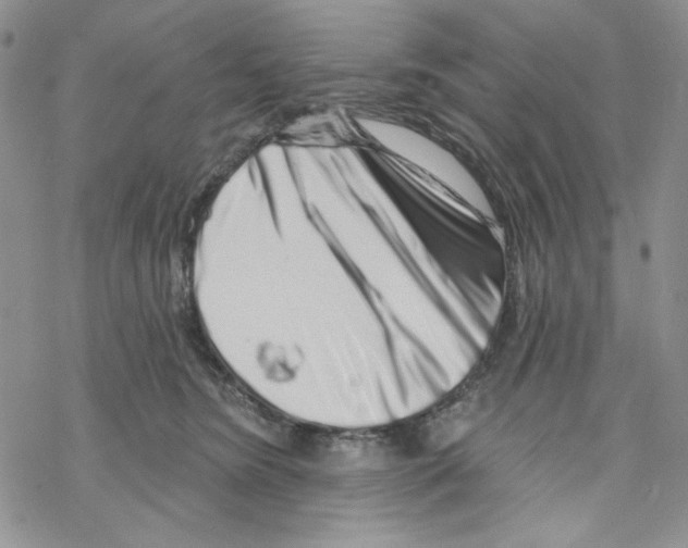 X0000069360420200606091606