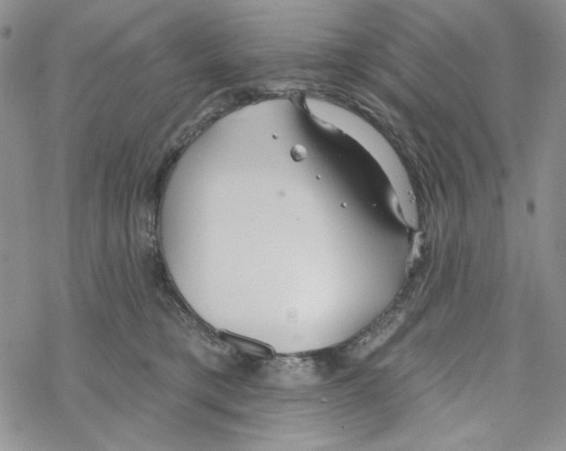 X0000069360421200606091606