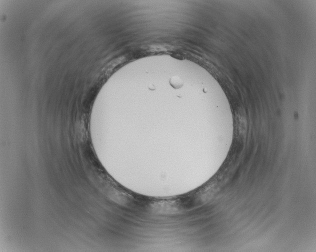 X0000069360422200606091606