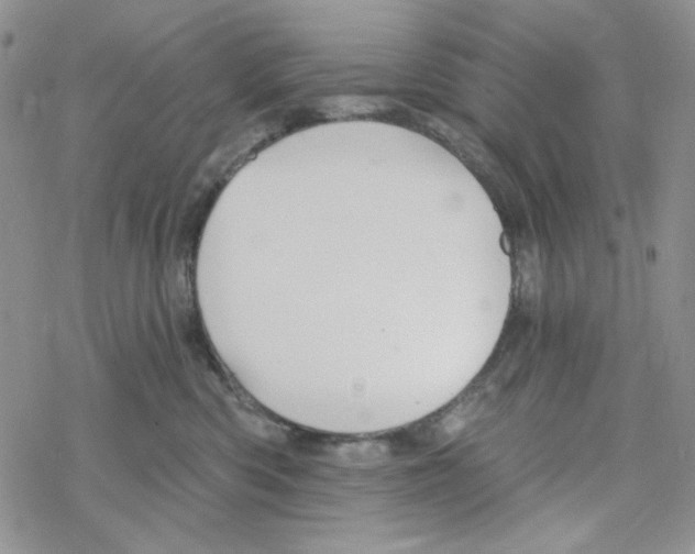 X0000069360426200606091606