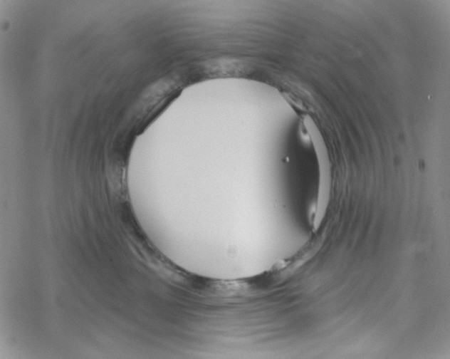 X0000069360429200606091605