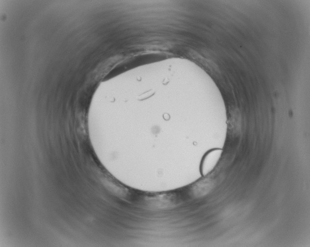 X0000069360430200606091605