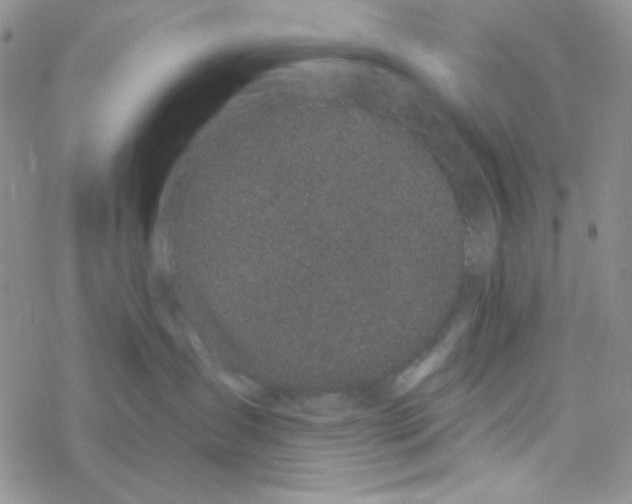 X0000069360431200606091605