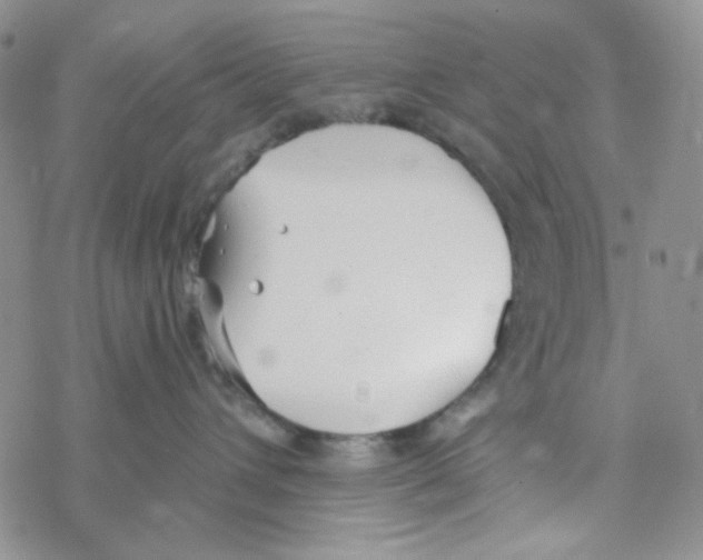 X0000069360432200606091605