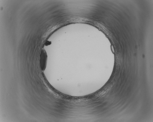 X0000069360433200606091605