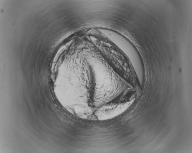 X0000069360434200606091605