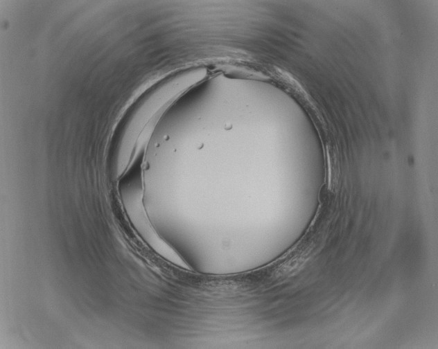 X0000069360435200606091605