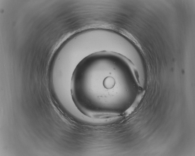 X0000069360436200606091605