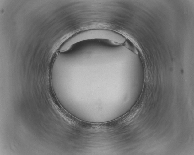 X0000069360437200606091605