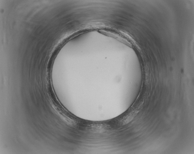 X0000069360439200606091605