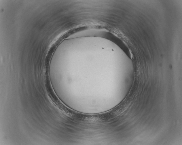 X0000069360440200606091605