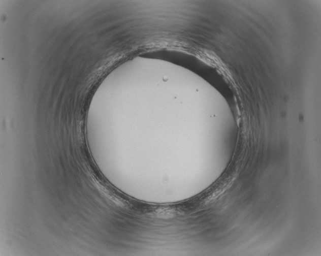 X0000069360441200606091605