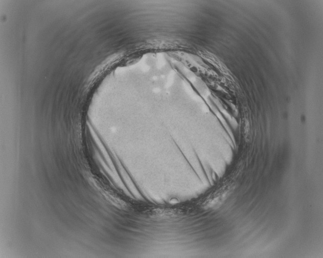 X0000069360442200606091605