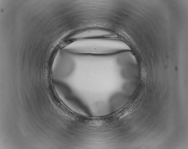 X0000069360444200606091605