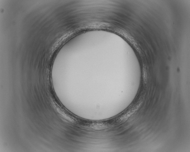 X0000069360445200606091605