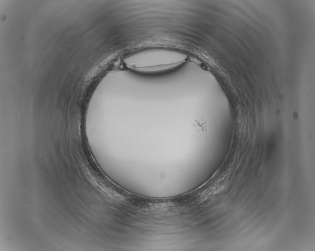 X0000069360446200606091605