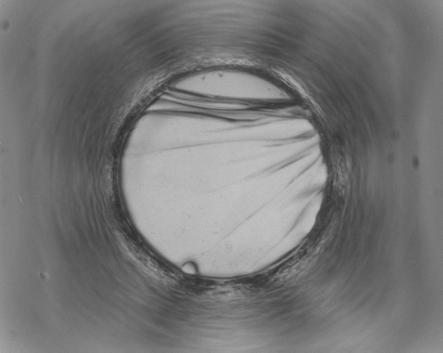 X0000069360447200606091605