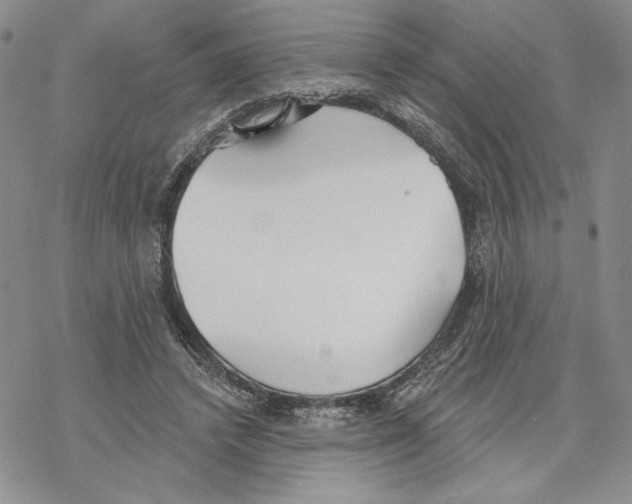 X0000069360448200606091605