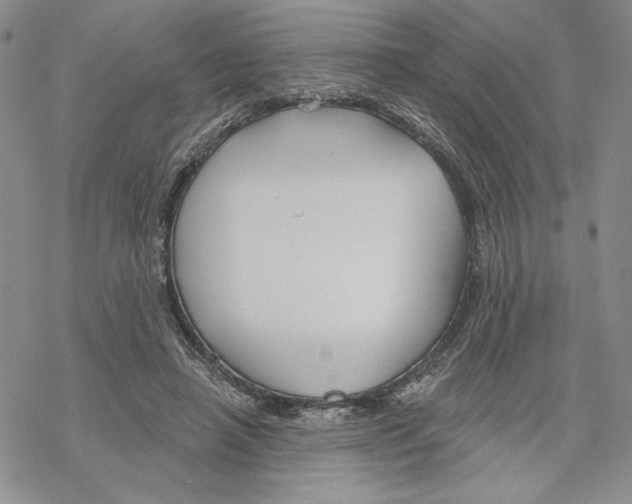 X0000069360450200606091605