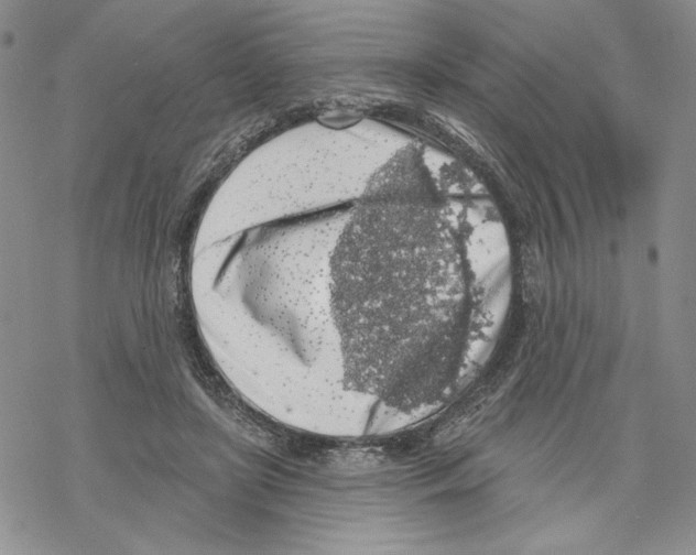 X0000069360451200606091605